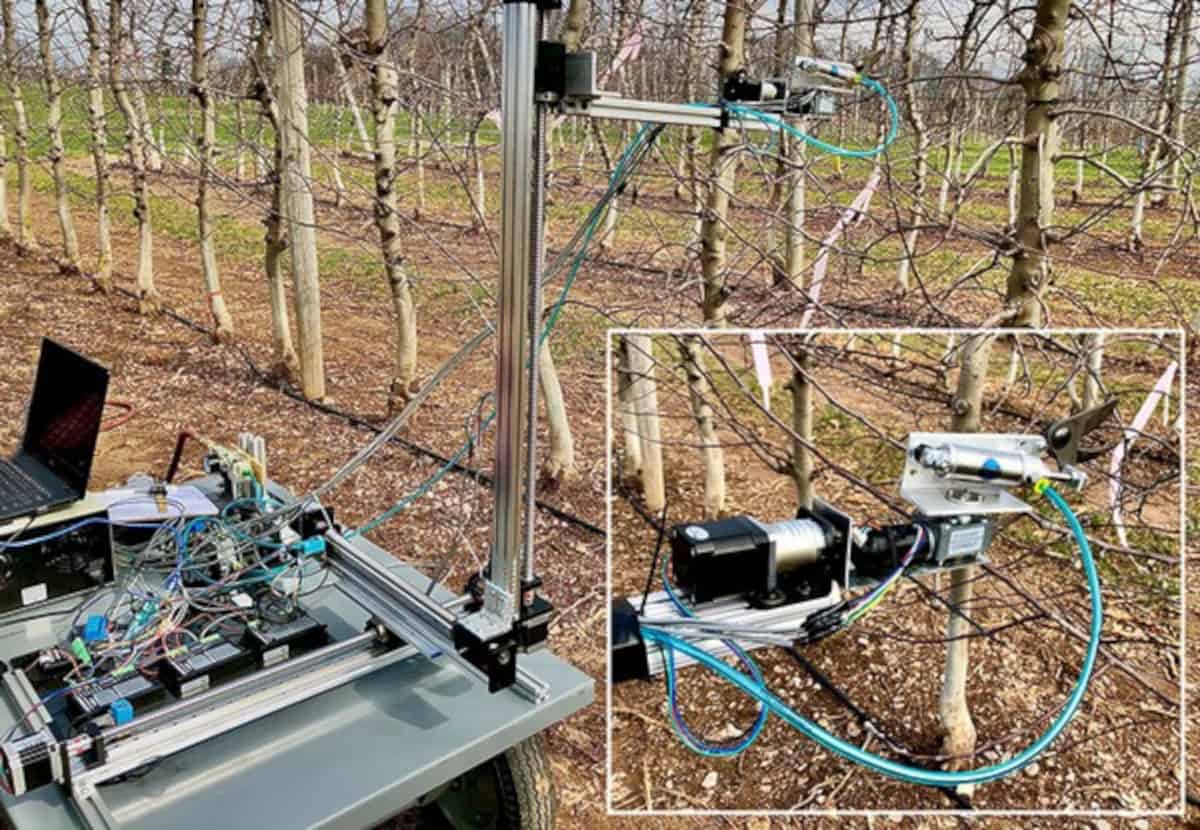 W pełni mechaniczne cięcie jabłoni?