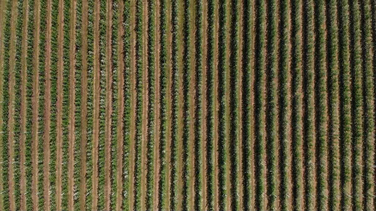 Więcej ziemi dla rolników i sadowników