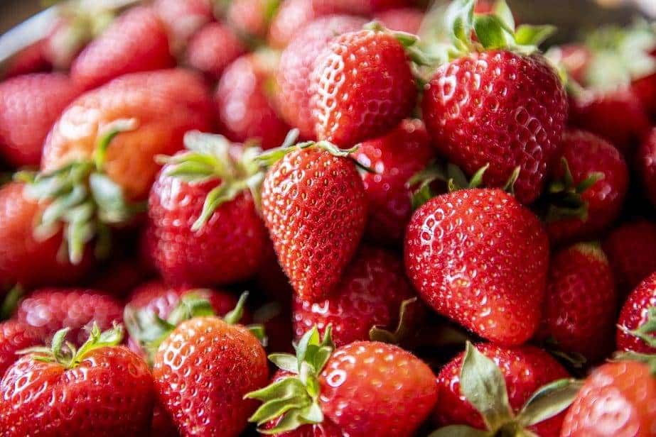 Skup truskawek przemysłowych – pierwsze ceny