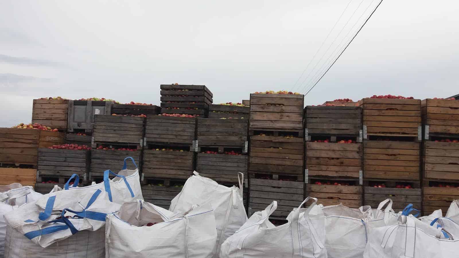 Skup interwencyjny - w tej chwili jedyne wyjście?