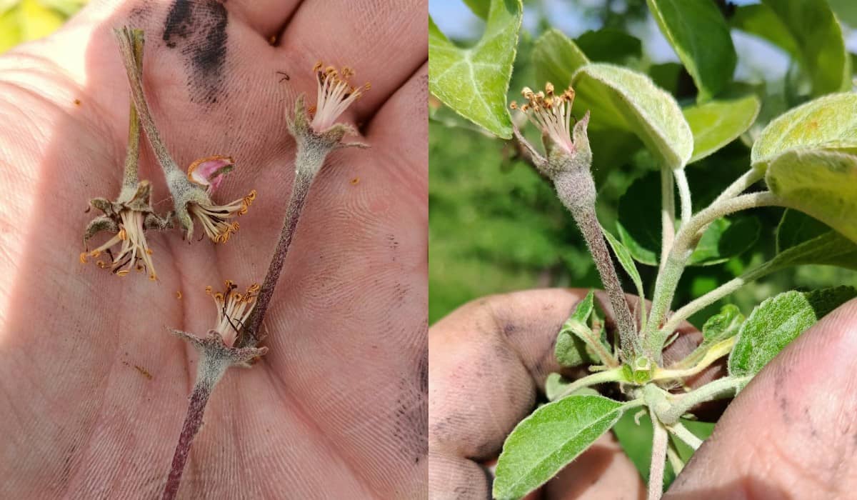 Zapowiada się kolejny ciężki rok 