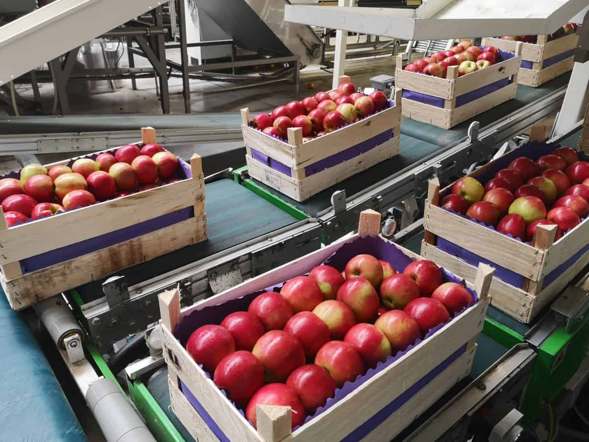 Światełko w tunelu 