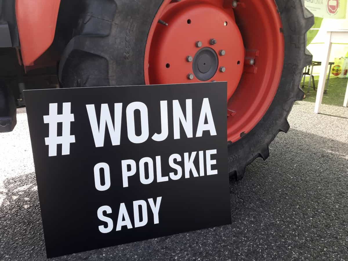 Nie oddajemy jabłek przemysłowych poniżej 40 groszy! 