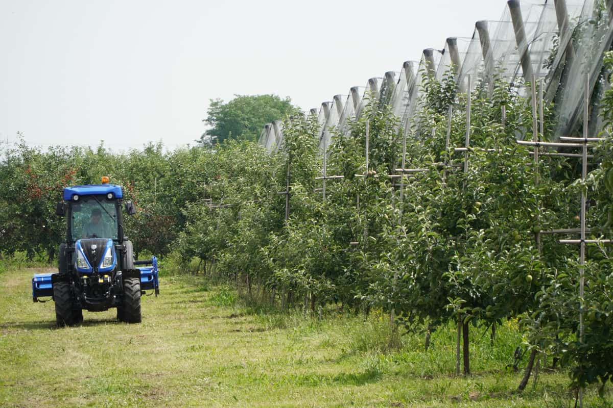 Stopy procentowe i raty kredytów znów w górę 