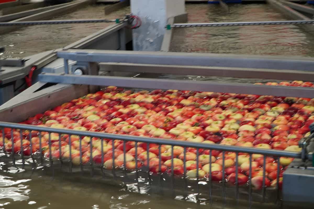 Problem z płatnościami ciągle wraca