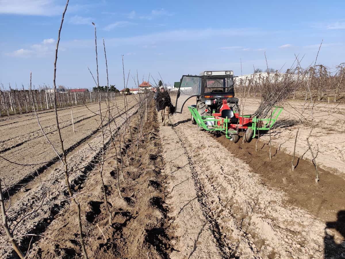 Ukraińcy dostaną dotacje na zakładanie sadów i plantacji jagodowych