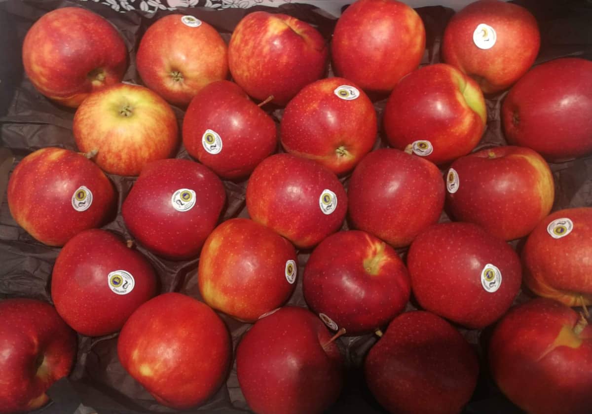 Czy inflacja zmieni decyzje zakupowe?