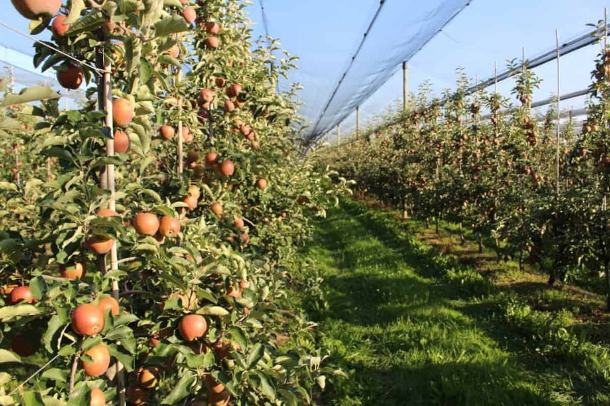 Stopy procentowe znów w górę 
