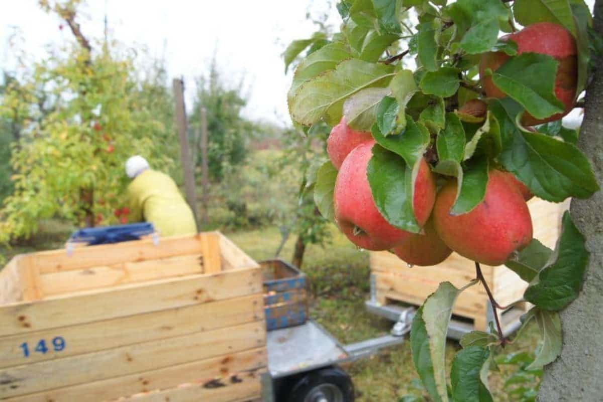 Uzbekistan zacieśnia współpracę gospodarczą z Unią Europejską – szansa dla Polski