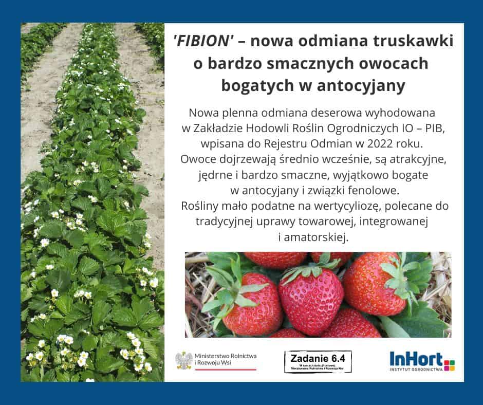 336905515 193173760113845 502169743965322667 n