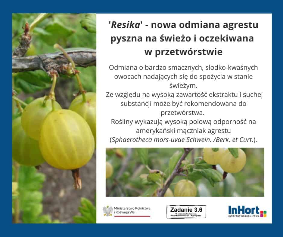 337544492 3137522933213808 3505458640836897403 n