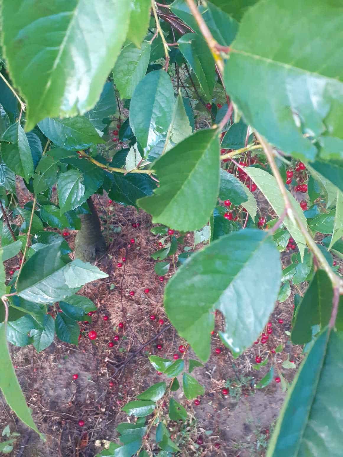 356429811 658044132535683 6274988795517648709 n