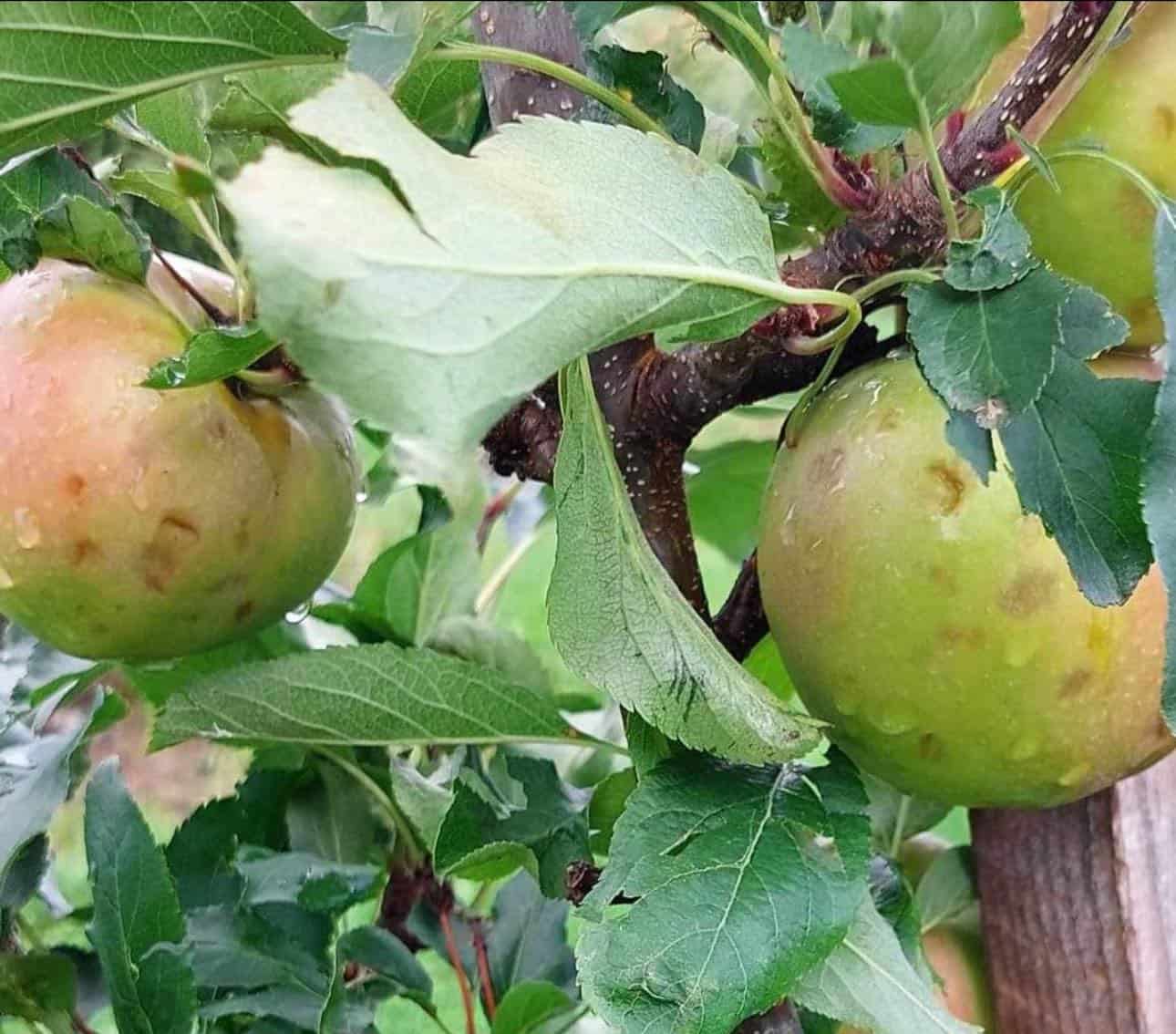 370677474 338730981818221 4706016448976420231 n