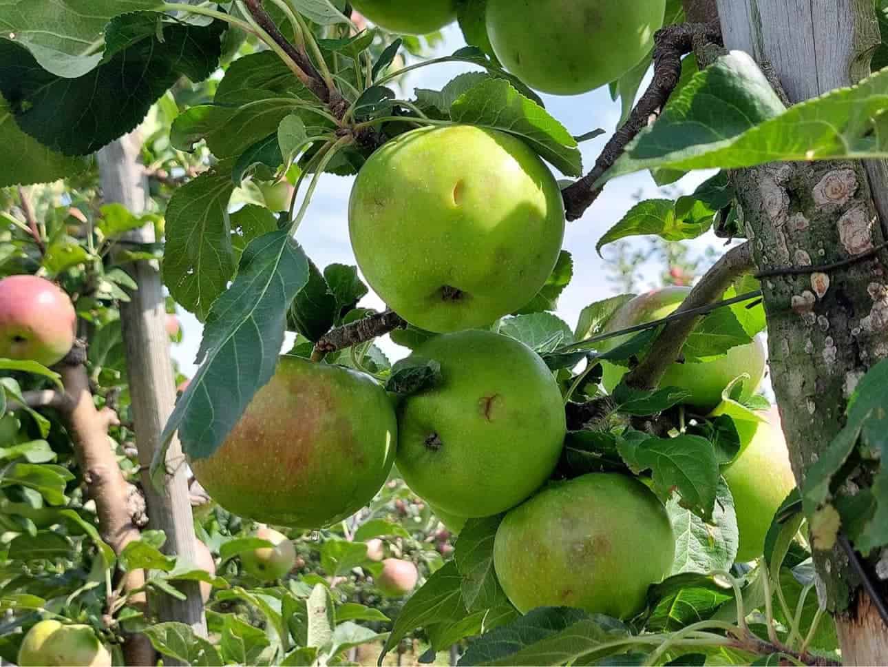 371350127 338731625151490 9006029110693361409 n