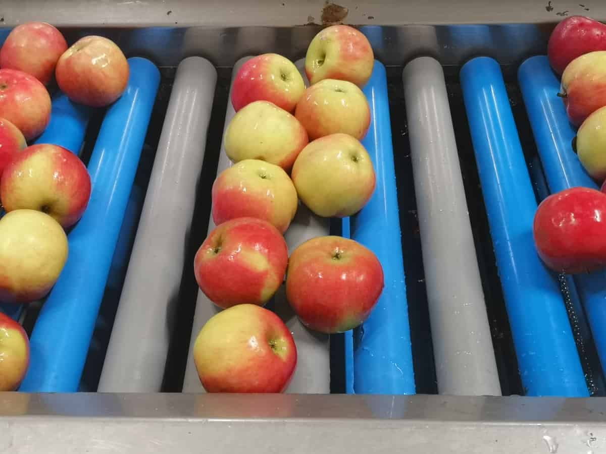 Bułgaria ograniczy import owoców i warzyw