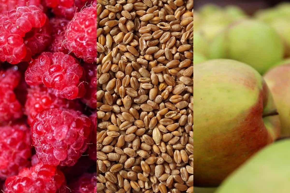 Ukraina pozostaje w trójce największych dostawców produktów rolnych w UE