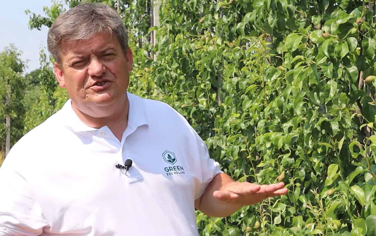 Krzem i wapń w walce z miodówką