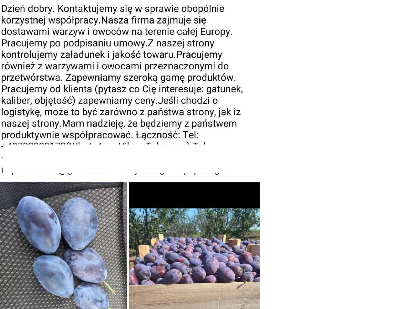 konkurencja
