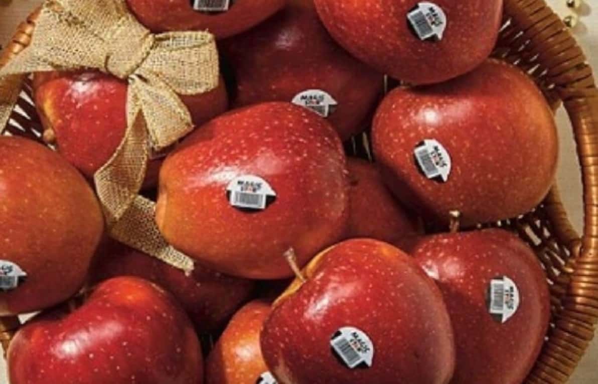 Magic Star – niech ta gwiazdka rozbłyśnie!