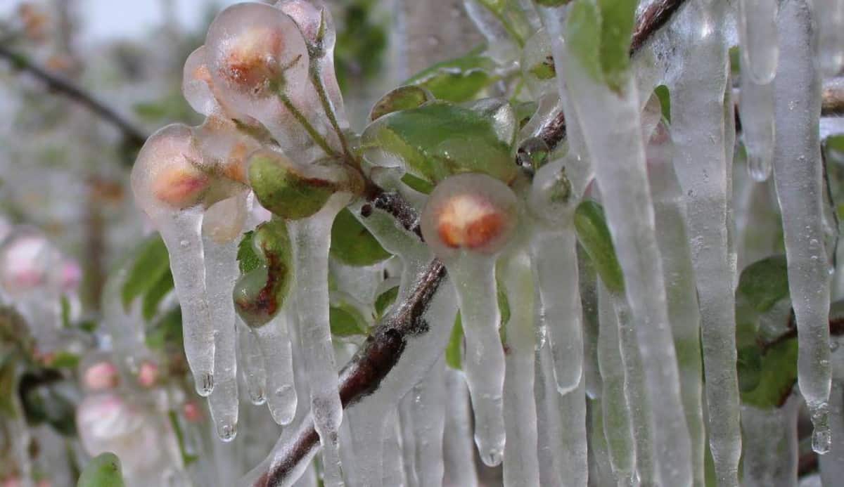 Kolejna noc z przymrozkami. Temperatura spadnie do -6°C