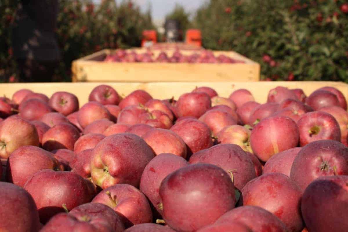 Zaczynamy z wysokiego C