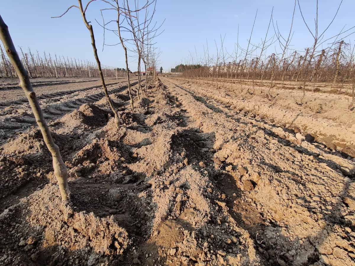 Modernizacja gospodarstw rolnych (obszar D) – wnioski tylko do 19 lipca!