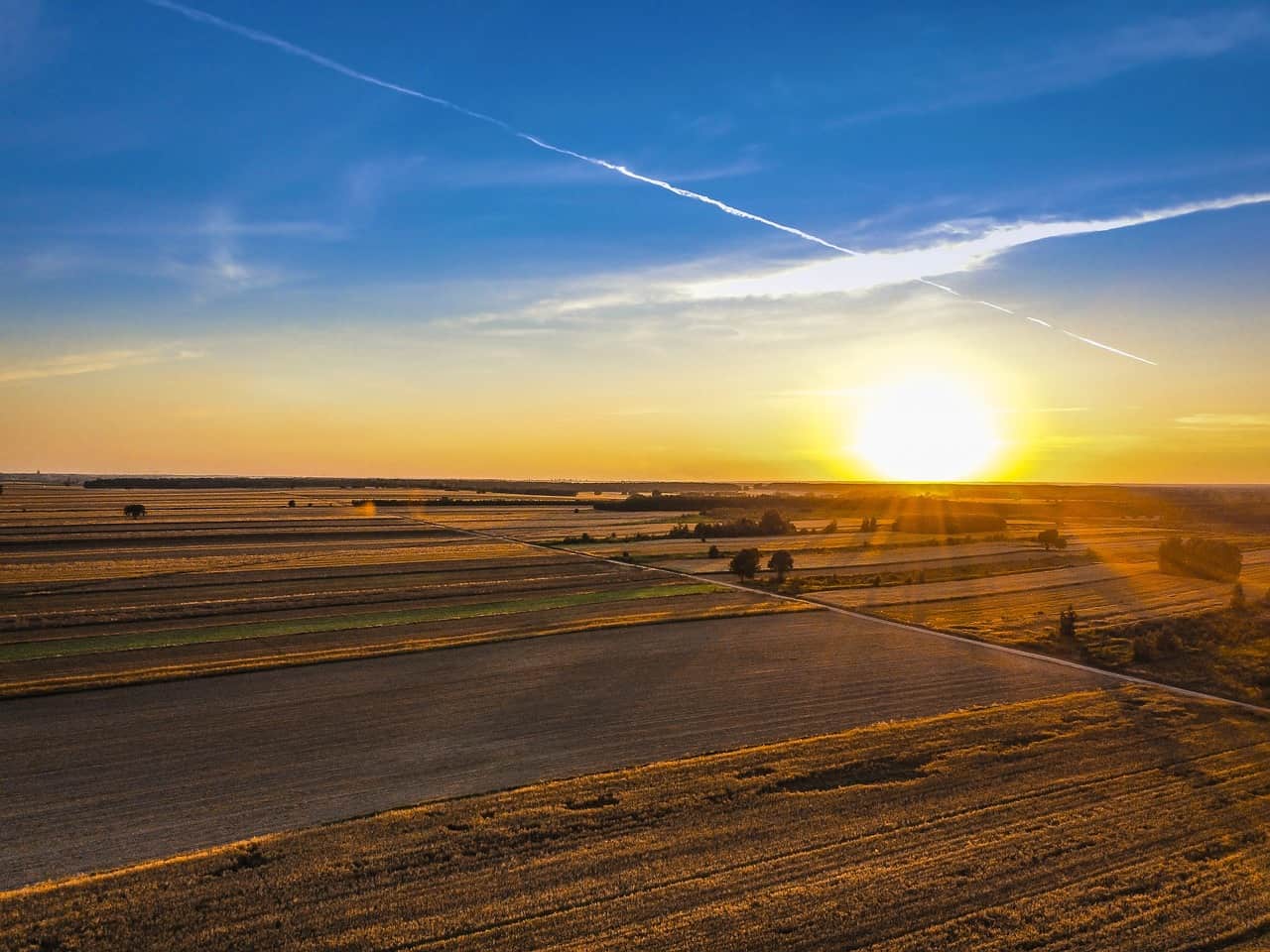 Unijny projekt, który wywróci do góry nogami nasze rolnictwo 