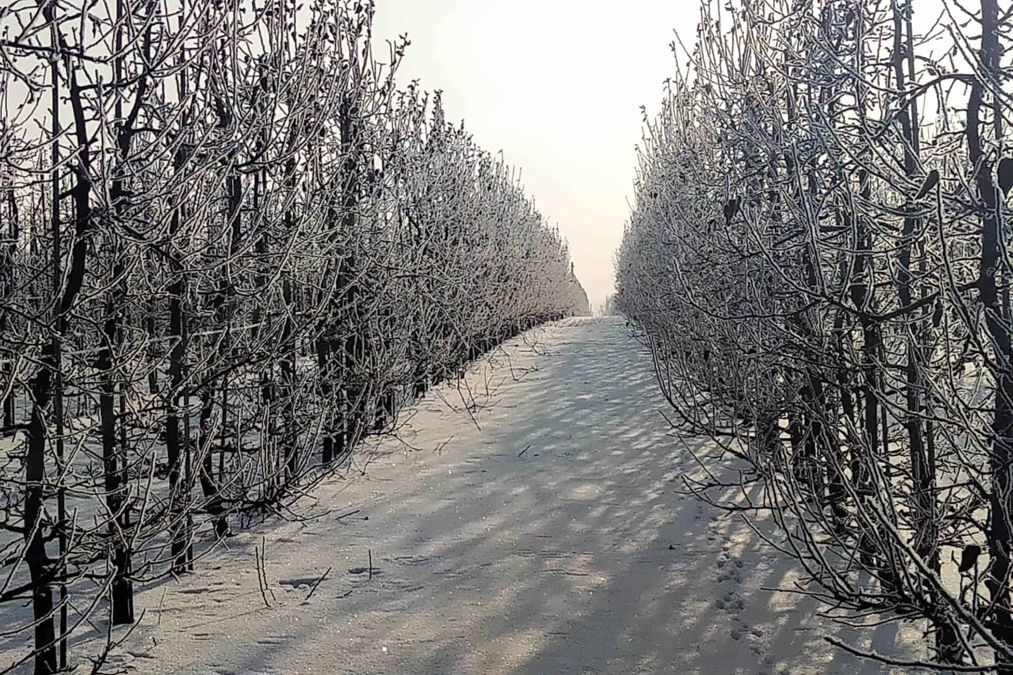 Jak będzie zima 2023/2024?