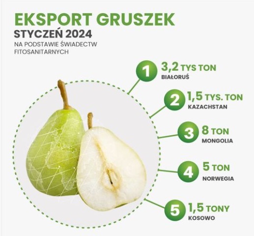 eksport gruszek styczen