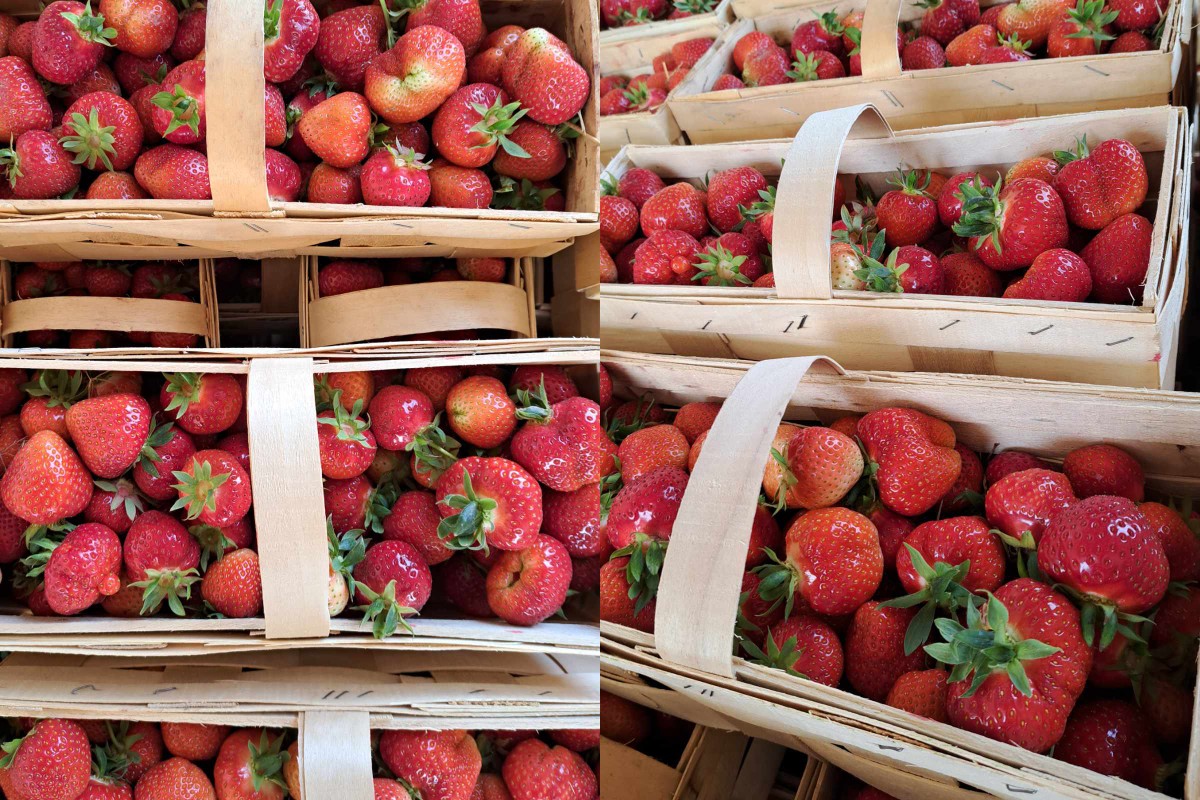 Ceny truskawek na Giełdzie Goławin 16.05.2024 