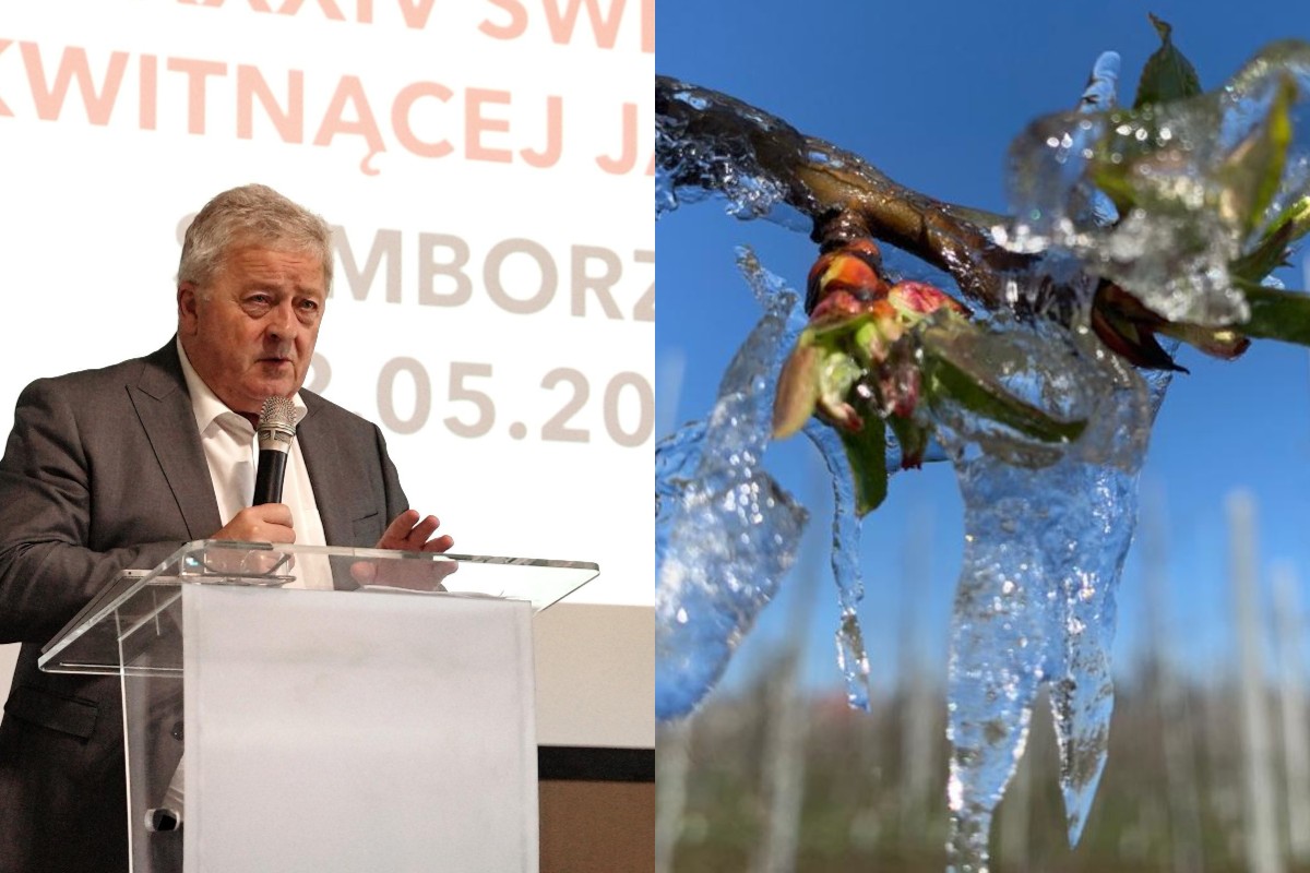 Będzie pomoc dla sadowników?