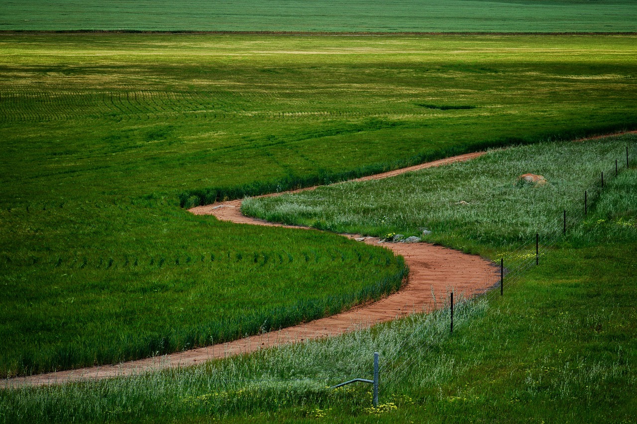 Unijna ekologizacja nie do zatrzymania: Nature Restoration Law przegłosowane