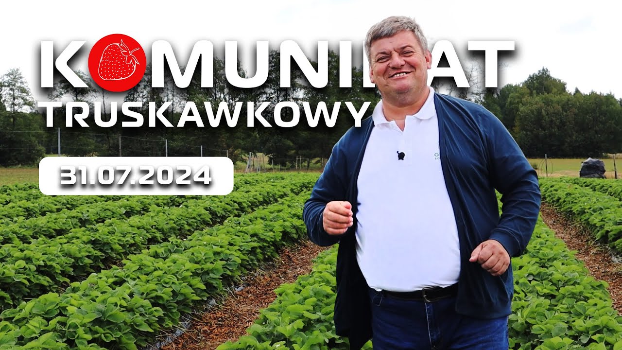 Przygotowanie plantacji na następny sezon - Zbigniew Marek 31.07.2024