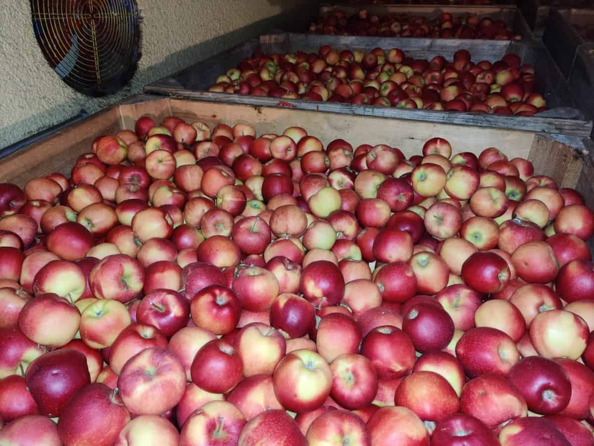 Gonimy świat czy stoimy w miejscu?