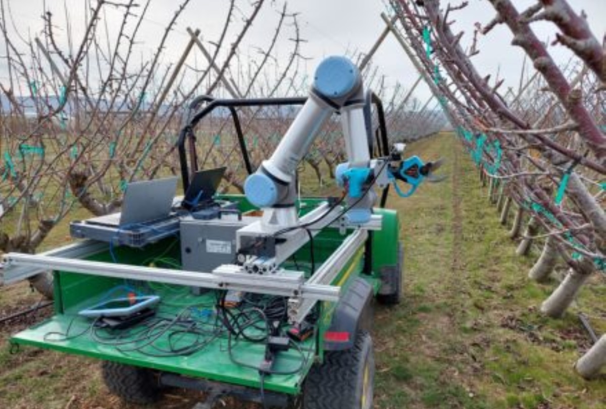 Znikną ekipy i sekatory