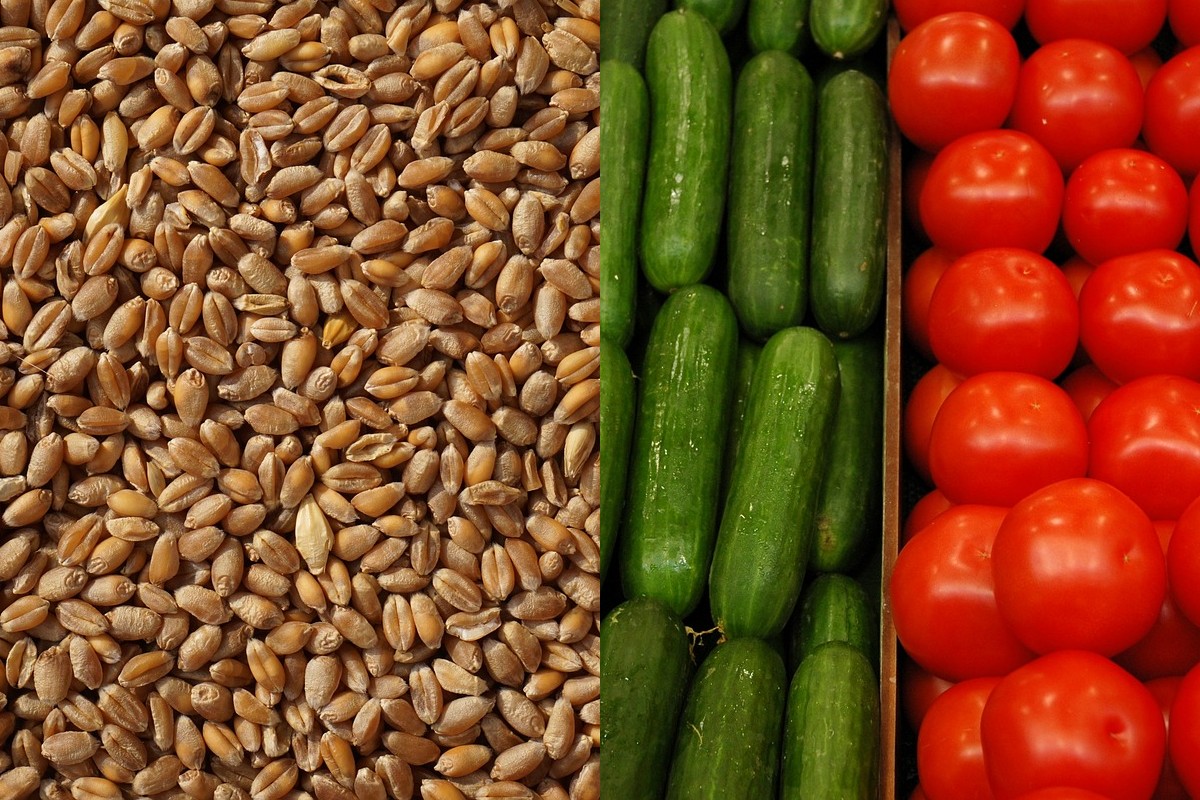 Polska nie wprowadzi embarga na rosyjskie produkty rolne?