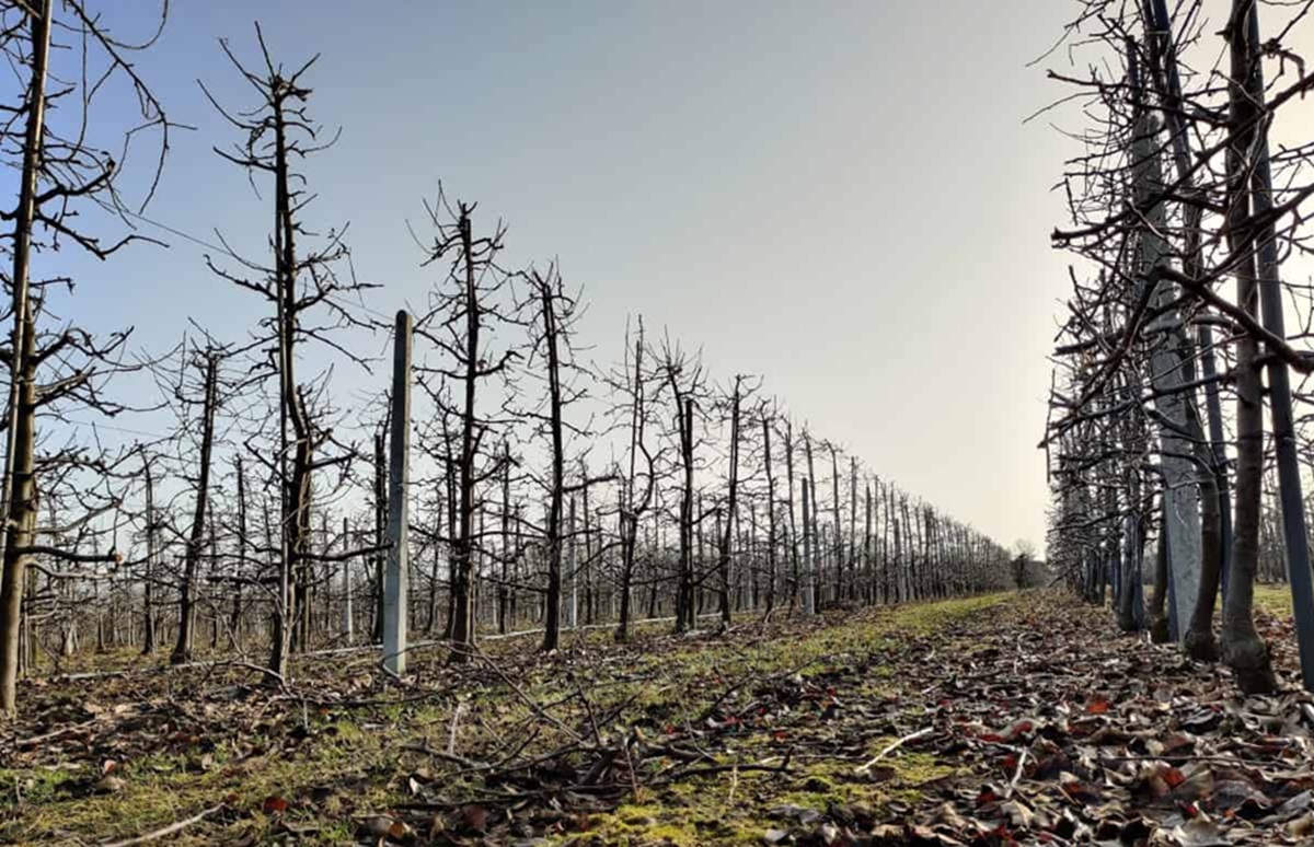 Przed nami zdecydowane ocieplenie