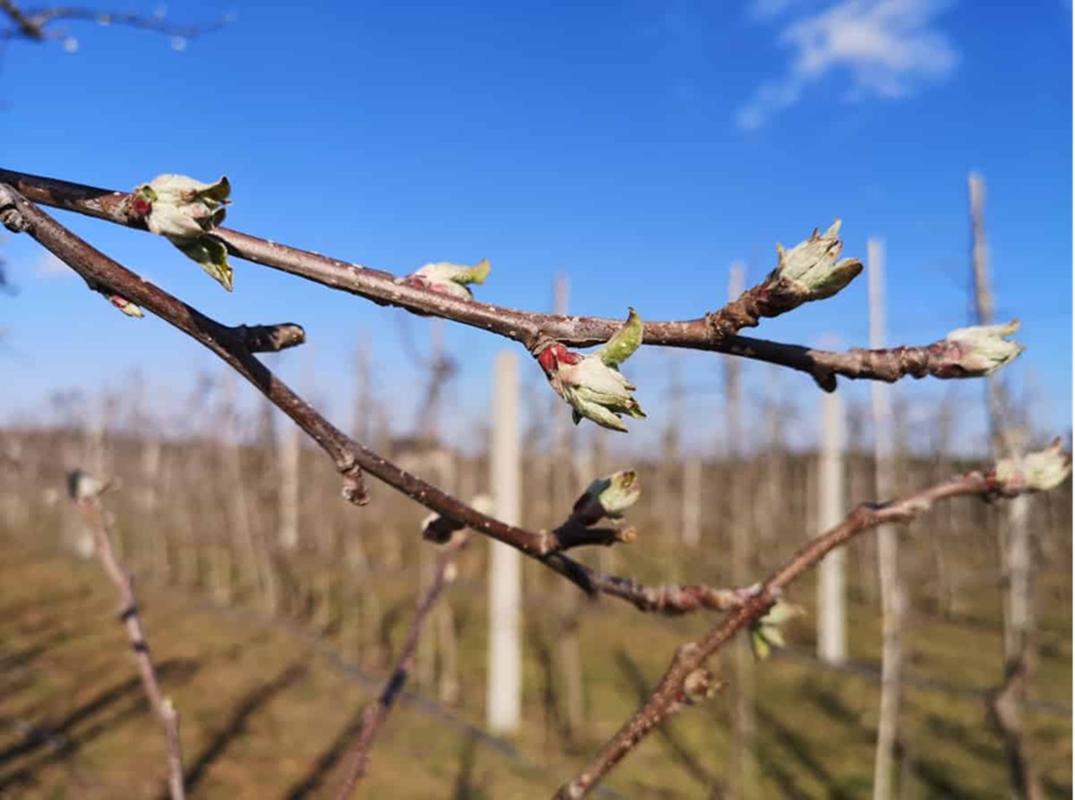 Słońce, deszcz i porywisty wiatr: Prognoza pogody na najbliższe dni