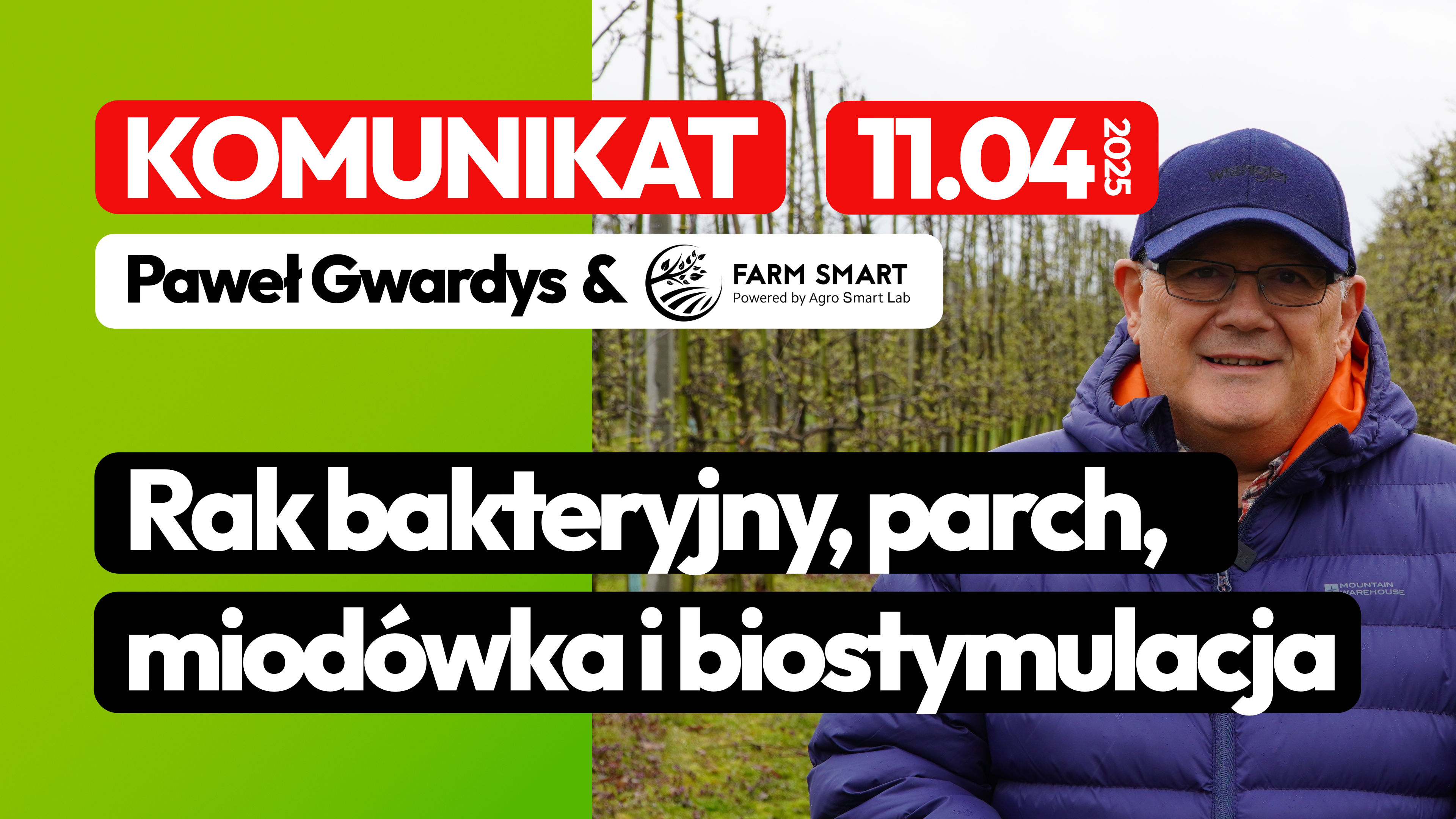 Rak bakteryjny, parch, miodówka i biostymulacja – KOMUNIKAT 11.04.2025