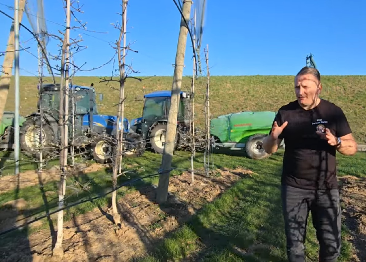 Parch, przymrozki i rak bakteryjny