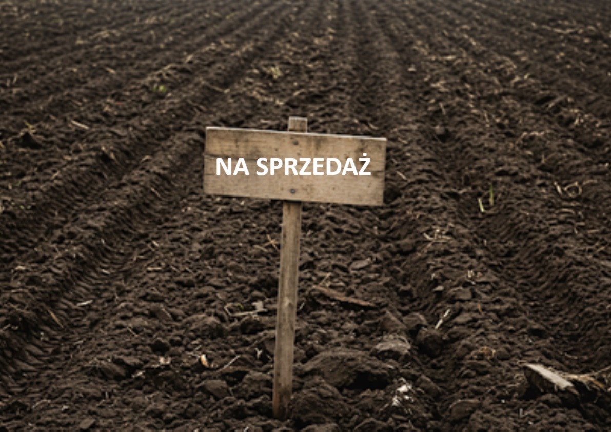 Bezpieczeństwo żywnościowe i ochrona rolników: PiS chce przedłużenia moratorium na sprzedaż ziemi 