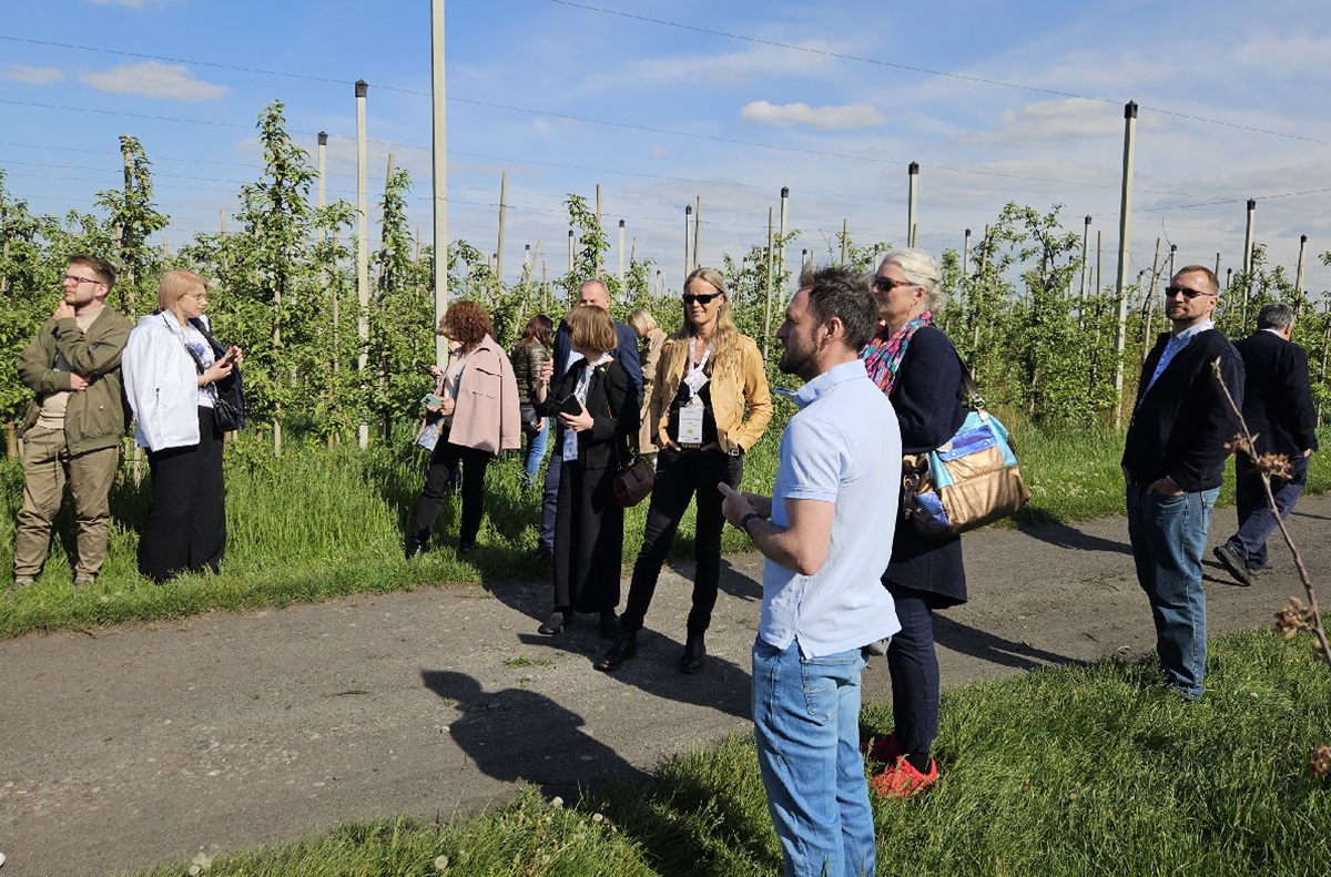 Wymiana doświadczeń w zakresie wsparcia produkcji ekologicznej