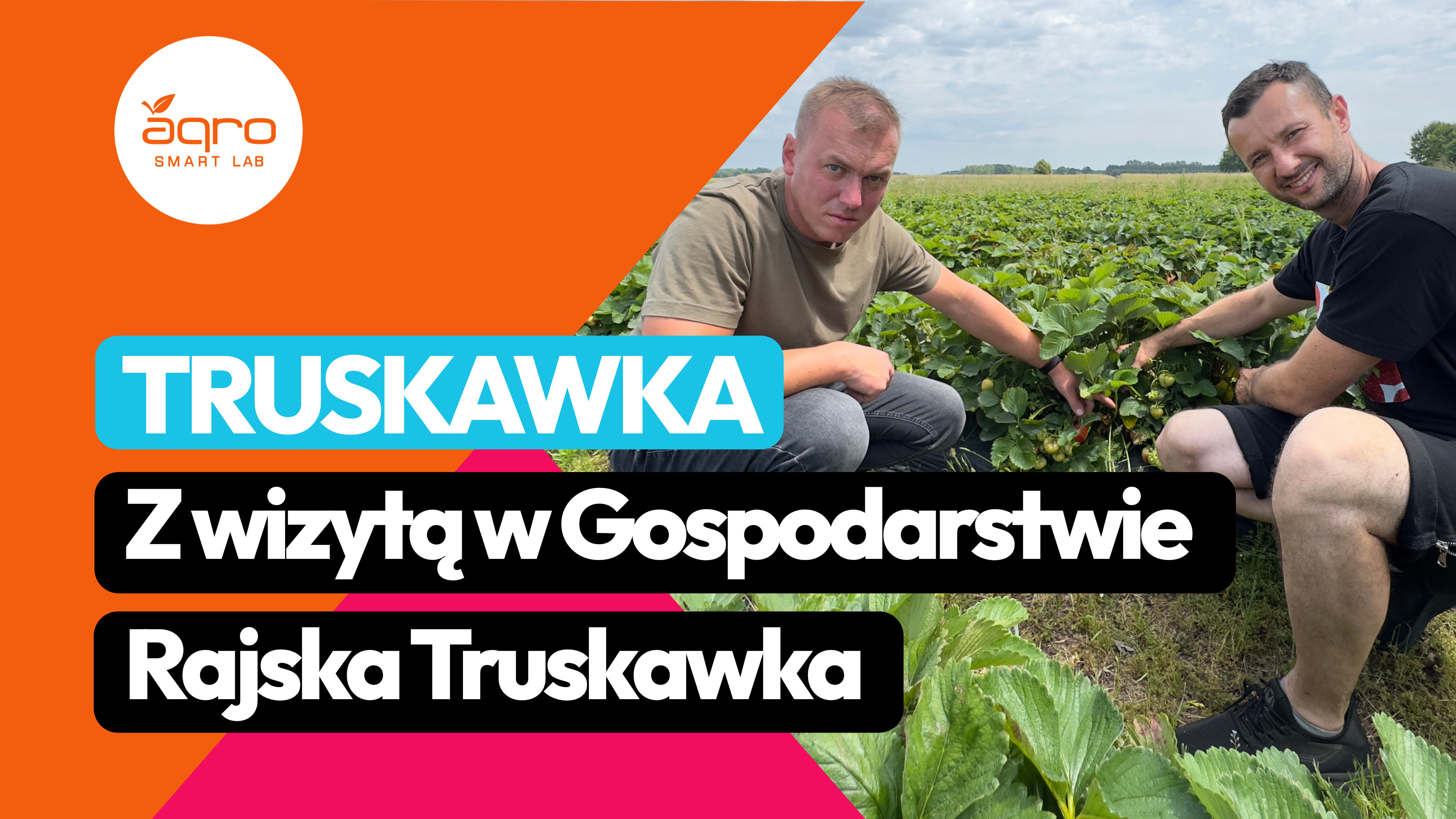 Z wizytą w gospodarstwie Rajska Truskawka. Jak plantator radzi sobie z chorobami w truskawce?