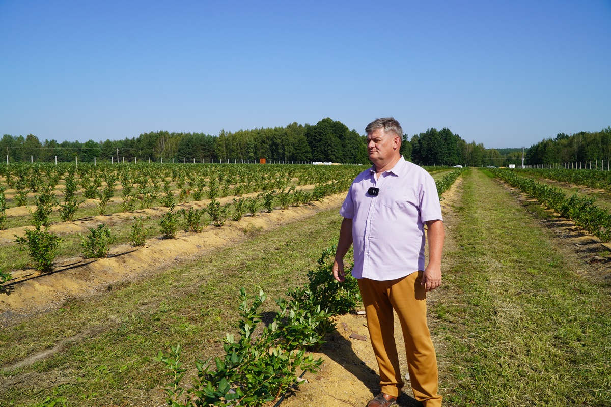 Draper bez problemów – Zbigniew Marek, 14.08.2025