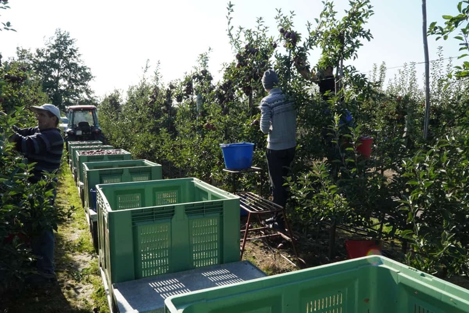 Transport płodów rolnych – będą zmiany w przepisach?