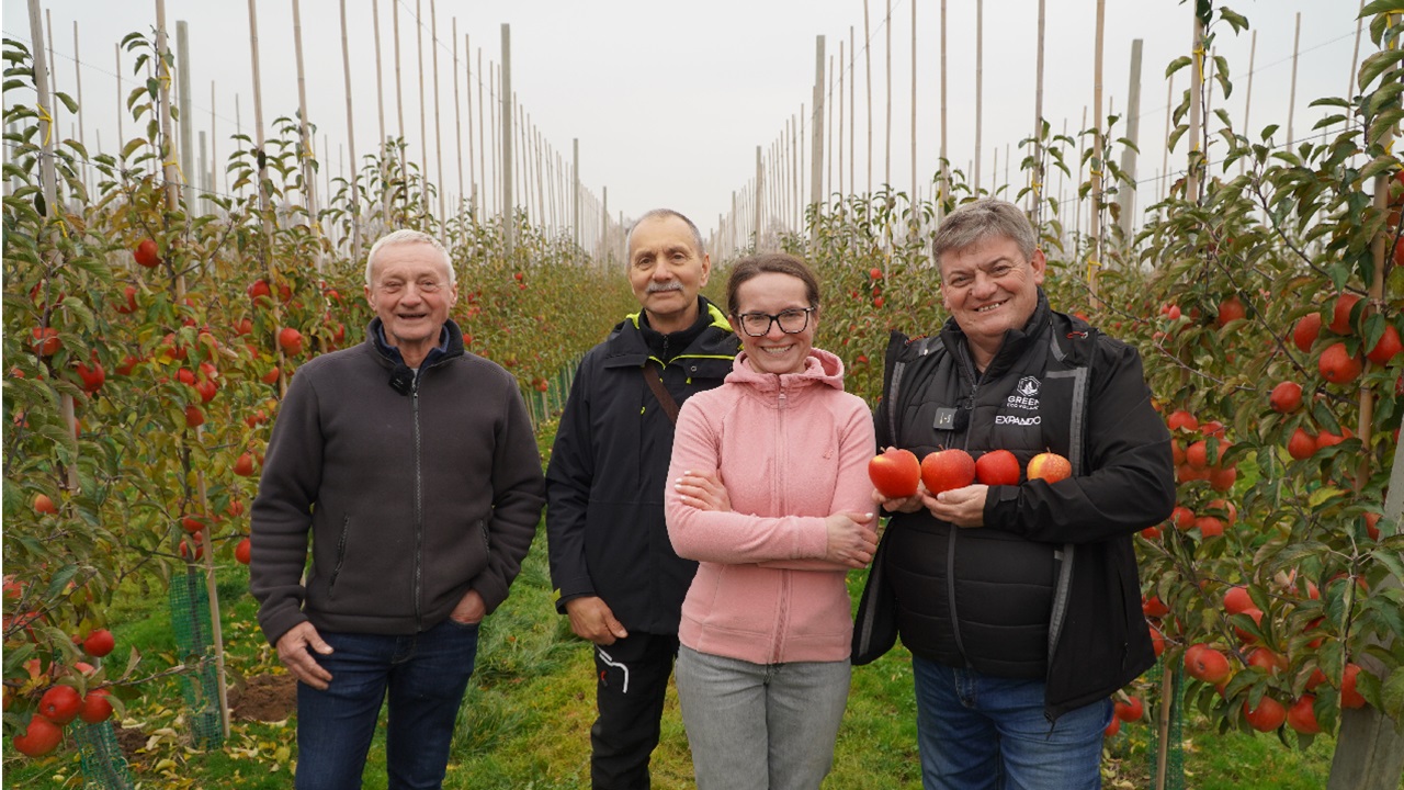 Burgred – hit czy kit?