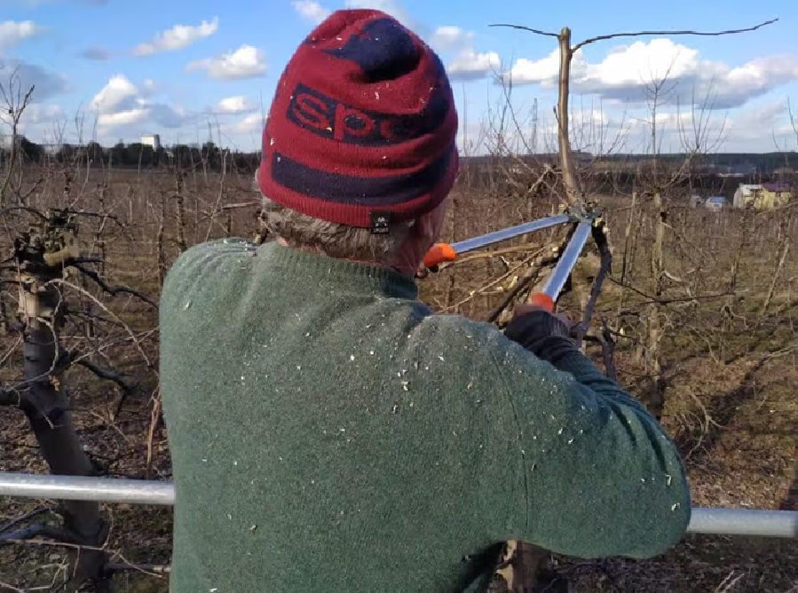 Cięcie czas zacząć