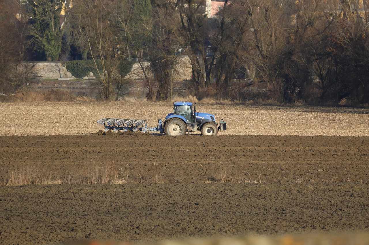 Sejm przyjął ustawę „Aktywny Rolnik”. Wsparcie trafi do tych, którzy faktycznie produkują