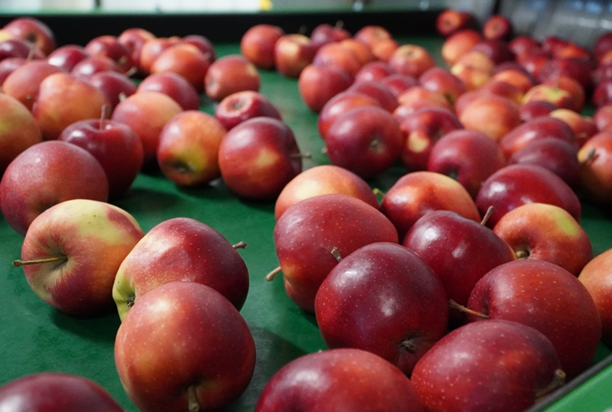 Zabójczy wyścig cenowy