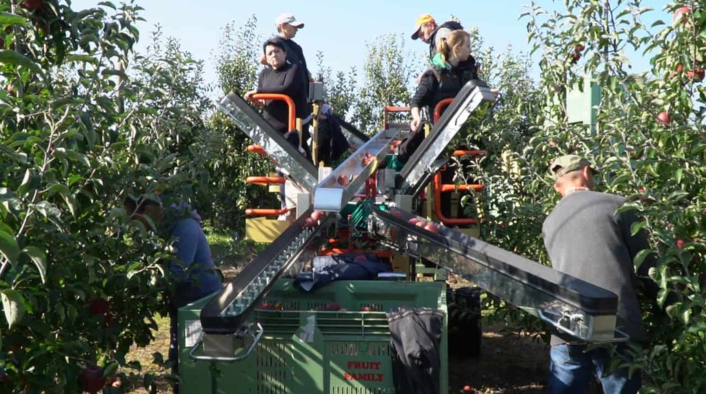 Inwestycje zwiększające konkurencyjność gospodarstw – jak prawidłowo wypełnić wniosek?